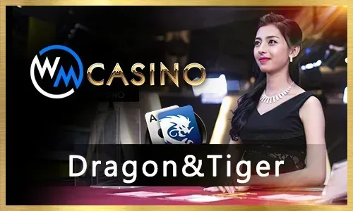 The Ultimate Live Casino Experience